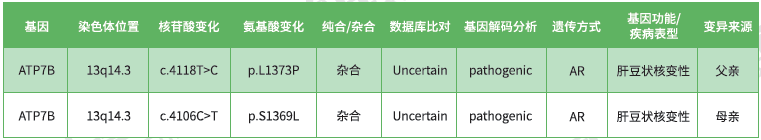 <b>【佳学基因检测</b>