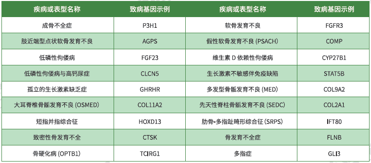 这些关于EXTL1的内容，是遗传测试准确性的必要条件