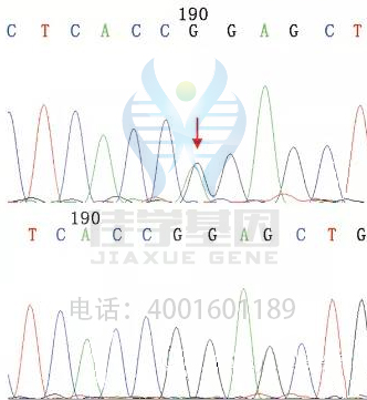 <b>【佳学基因检测</b>