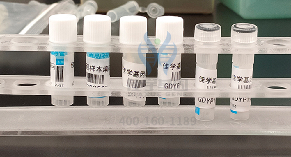 【佳学基因-基因检测】SCIENCE- 最新发现-基因影响人类肤色的演变