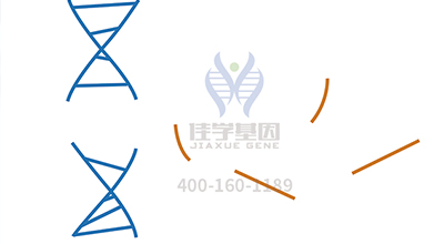 【佳学基因检测】青海省玉树州基因检测推荐中心