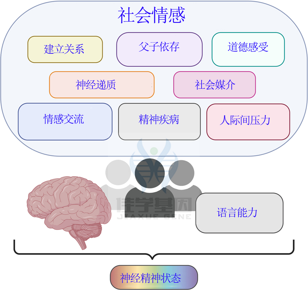 【佳学基因检测】社会能力基因检测