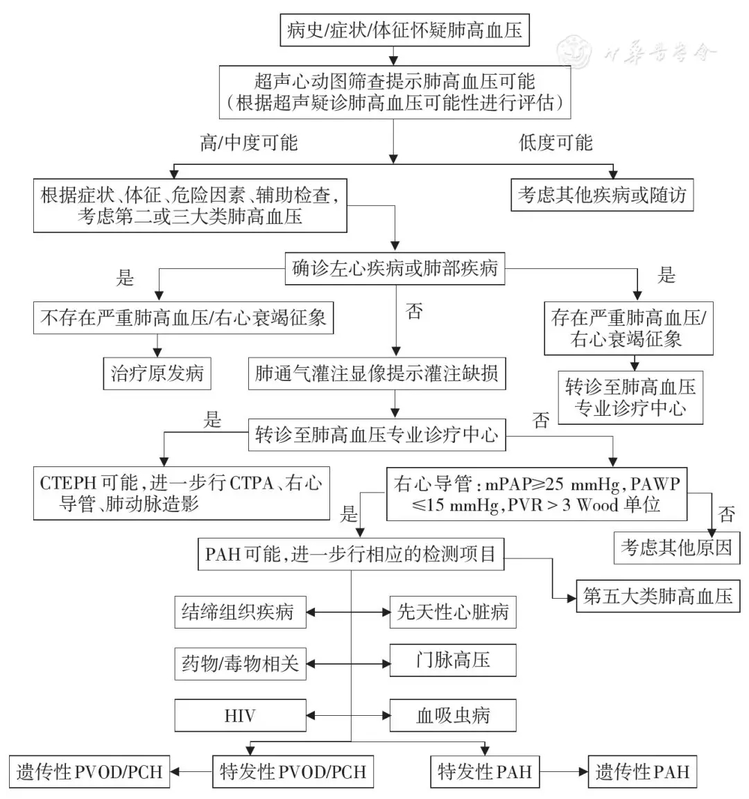 【佳学基因检测