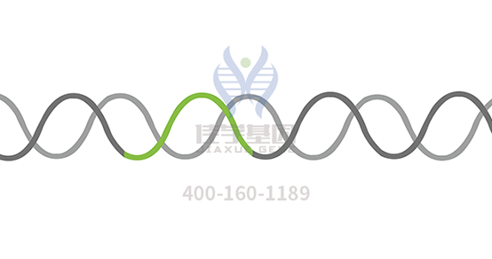 【佳学基因检测